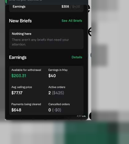 Fiverr earnings